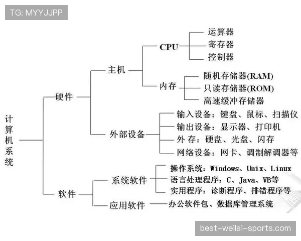 球衣号码规则：从1到99号的分配逻辑与比赛中的实际应用